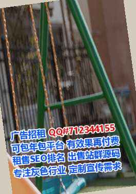 安徽代母汽车服务经营部